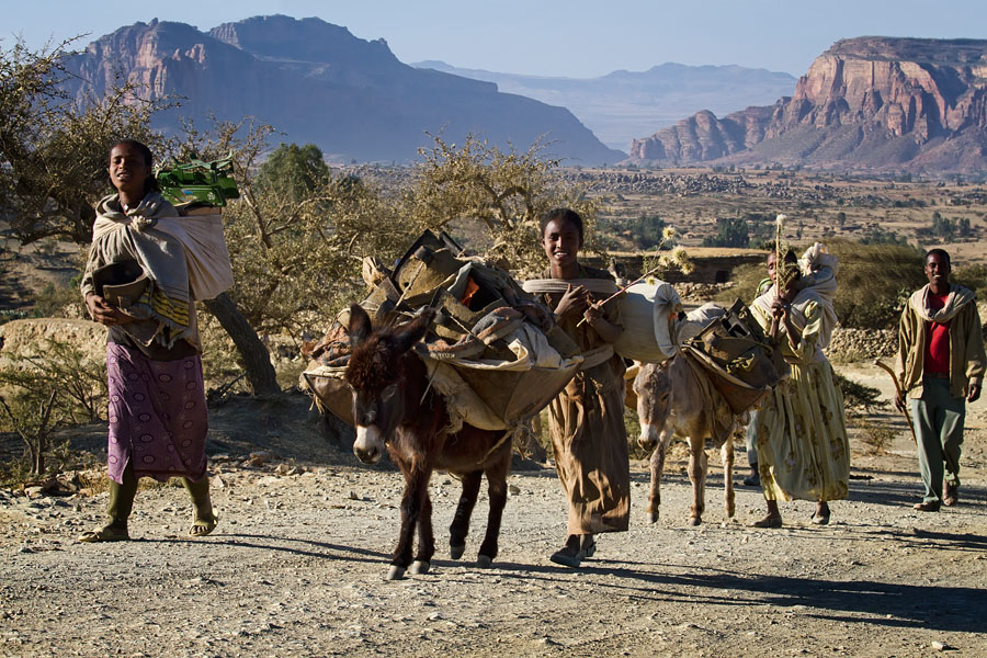 257   On their way to the market   Gheralta mountains   Ethiopia